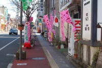 �鉺���l�g�̒��S�A������́u���ЂȒʂ�v�B�e�X�܂̎�������炵���W����������